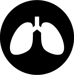 Lungs icon for smoking