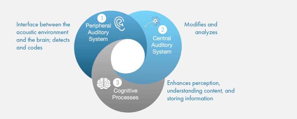 A Venn diagram showing how hearing affects cognition